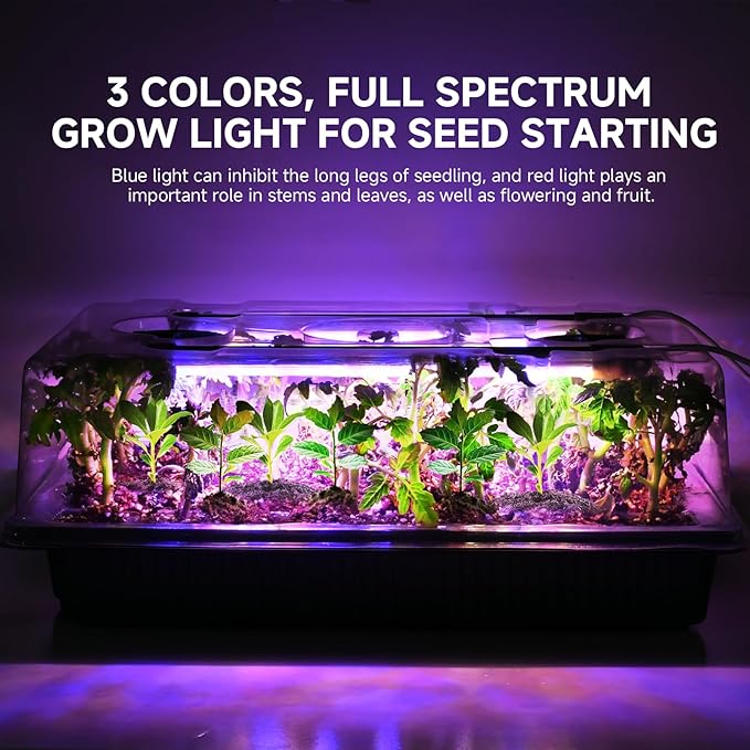 80 Cells Seed Starter Trays with Grow Lights, Color Change Grow Lights for Seed Starting Kit, 3 Timming Set, Plant Growing Kit for Gardeners，Germination Trays Kits