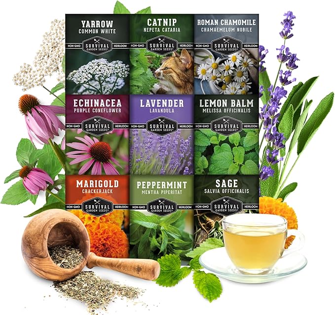 Medicinal Tea Herb Seeds for Planting | 9 Variety Pack of Heirloom, Non-GMO Herbs – Grow Herbal Teas, Natural Remedies – Home Apothecary Garden Kit – Survival Garden Seeds