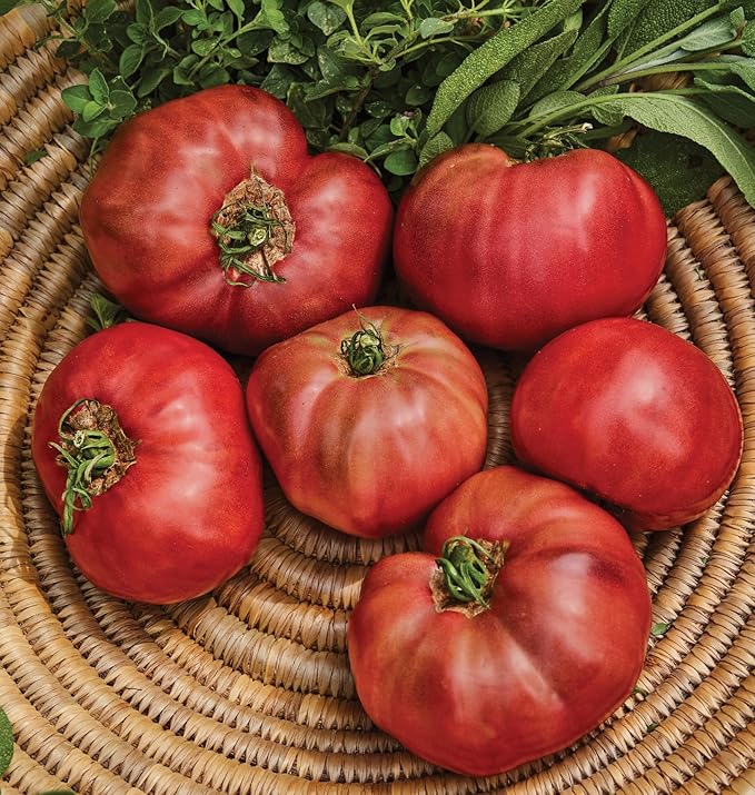Burpee 'Cherokee Purple' Heirloom , Large, Rich Flavor Slicing Tomato , 50 Non-GMO Seeds