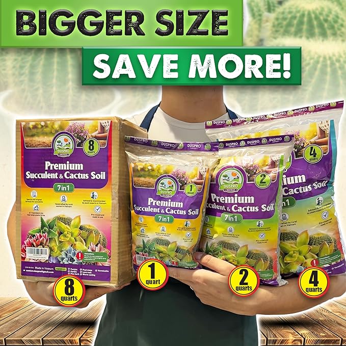 DUSPRO Succulents Soil Potting Mix – 7 in 1 Ingredients Well-Draining, Nutrient-Rich Cactus Potting Soil for Succulents and Cacti, Indoor & Outdoor Use, Ready to Use, Supports Healthy Root Growth, 1QT