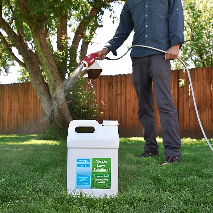 Advanced 16-4-8 Lawn Fertilizer - Liquid Lawn Food Spring & Summer Concentrated Spray - Any Grass Type- Fish and Seaweed Kelp- Balanced NPK - Simple Lawn Solutions (2.5 Gallons)