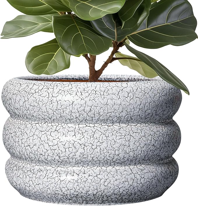 SQOWL Ceramic Plant Pots - 13.5 Inch Ceramic Planter with Drainage Hole, Large Round Planter for Indoor Plants, Modern Flower Pots Outdoor, Office Living Room Decor, Birthday Gifts, Black and White
