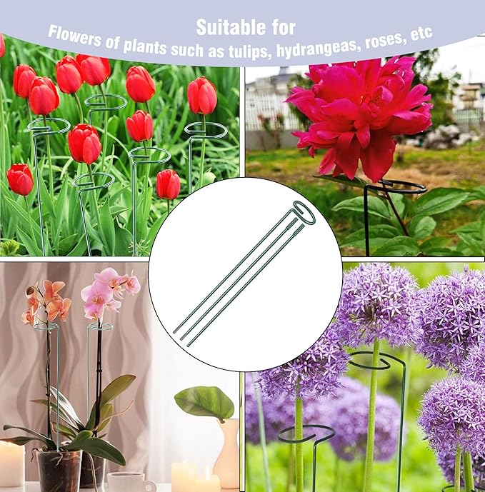 4.5mm Adjustable Length Plant Stake, Assembled (12 or 24 inch) Outdoor and Indoor Plant Support Poles for Flowers Marigolds Tomatoes Lilies Peonies Roses Daffodils Flower Clips (12 Sets, 36 Pcs)