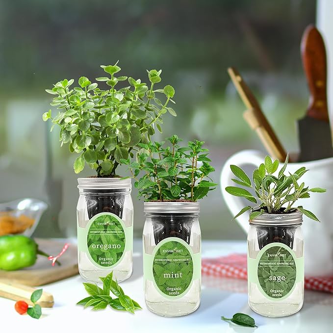 Hydroponic Herb Growing Kit Set, Self-Watering Mason Jar Herb Garden Starter Kit Indoor, Windowsill Herbs Garden. Grow Your Own Herbs from Organic Seeds (Mint, Sage, Oregano)