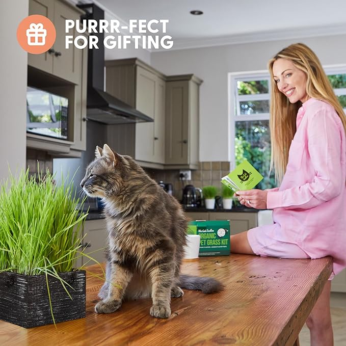 The Cat Ladies Cat Grass Kit with Black Rustic Wooden Planter, Organic Cat Grass Seeds and Soil. Easy to Grow Cat Grass for Indoor Cats. Prevent Hairballs and Aid Digestion