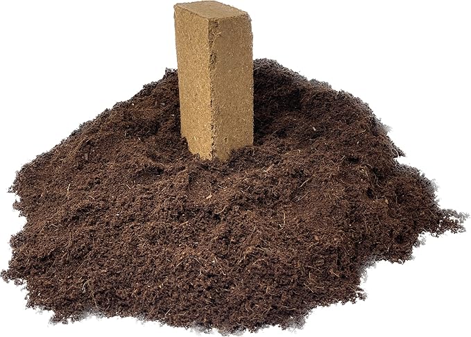 Seed Needs, Culinary Herb Seed Packet Collection Seed Starting Bundle (Includes 12 Individual Seed Packets, 36 Starter Pots & 1 Expandable Coco Coir Brick) Heirloom, Non-GMO, Untreated