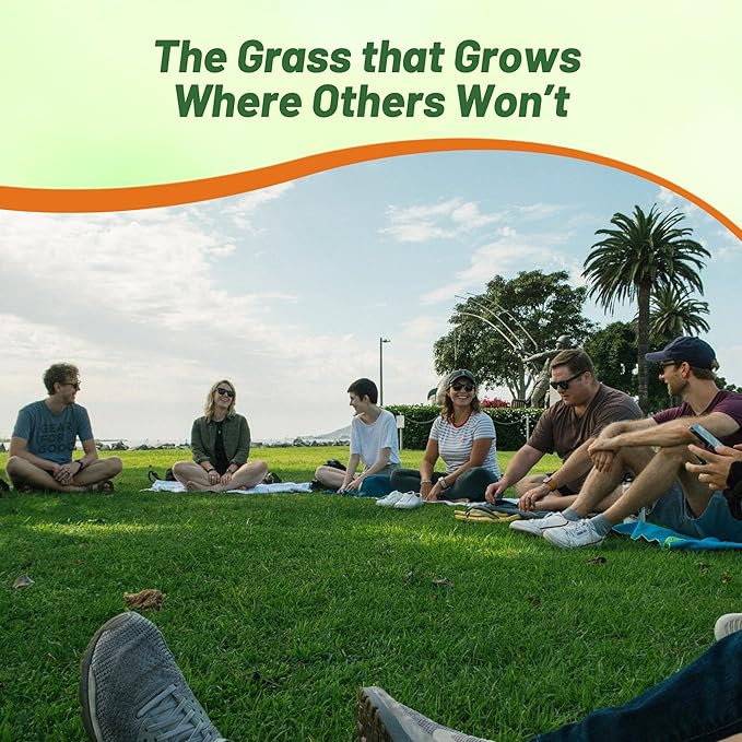 Outsidepride 1 Lb Supranova Shade Grass Mix of POA Supina & Rough Bluegrass - Shade Tolerant Grass Seed for Golf Courses, Athletic Fields, & Outdoor Lawns, OptiGrowth Coated for Seed Enhancement
