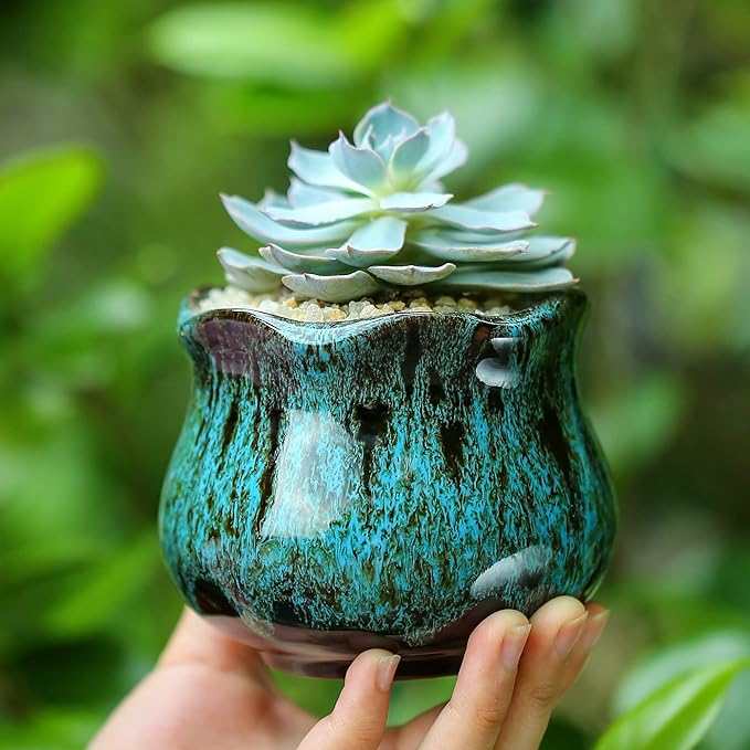 Cute Ceramic Succulent Planters, Garden Pots with Drainage and Attached Saucer, Set of 6 - Plants Not Included