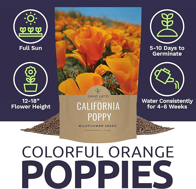 Bulk California Orange Poppy Wildflower Seeds - 1 Pound Bag - Over 320,000 Native Seeds - California State Flower!