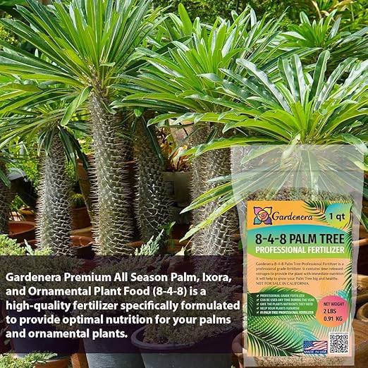 Premium 8-4-8 Professional Palm Tree Fertilizer Plant Food |Indoor Potted Plants and Outdoor Landscape Palm Trees | Quick-Release Nitrogen Fertilizer and Continuous Feeding [16 OZ]