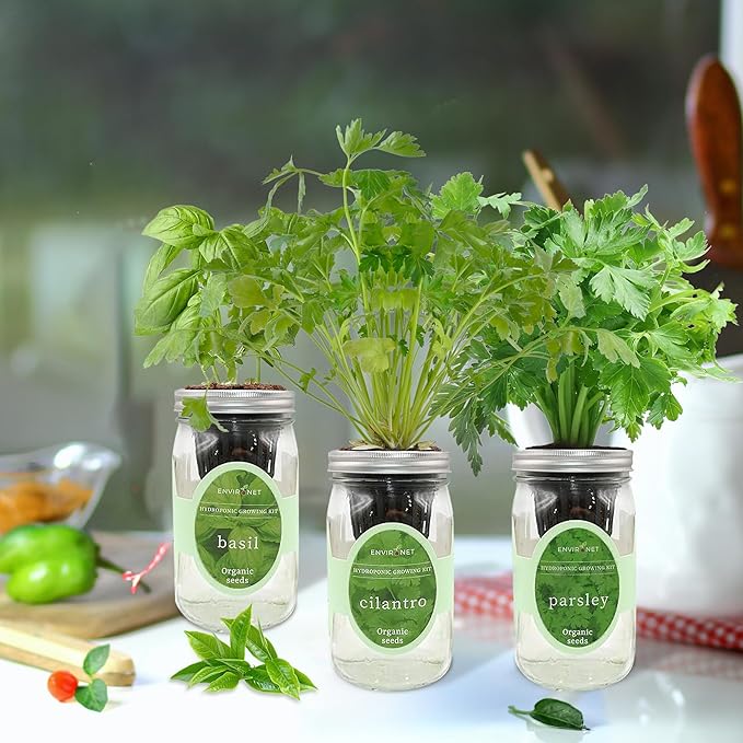 Hydroponic Herb Growing Kit Set, Self-Watering Mason Jar Herb Garden Starter Kit Indoor, Windowsill Herbs Garden, Grow Your Own Herbs from Organic Seeds (Basil, Cilantro and Parsley)