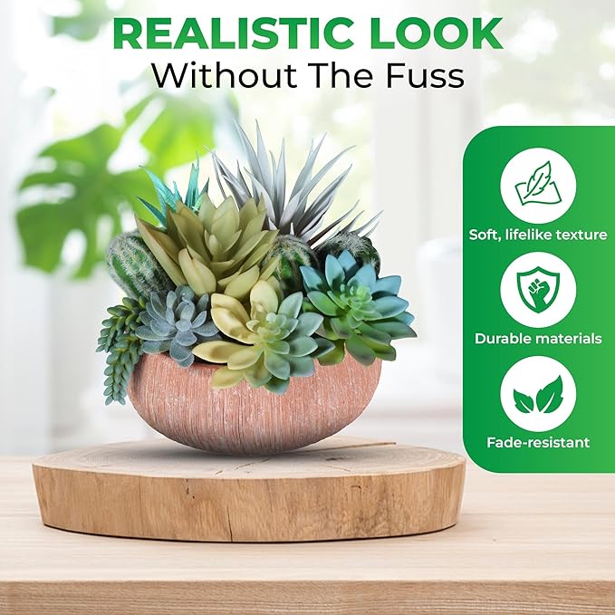 Premium Assorted Artificial Succulent Collection - Large Real Touch Artificial Cactus, Aloe Vera & Succulent Plants Artificial with Pots for Home Office Indoor (Artificial Coconut Shell - Pot)