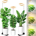 LBW Grow Lights for Indoor Plants, 6.3" Full Spectrum Plant Light with Base, 65" Height Adjustable Grow Lamp, 6/8/12/16H Timer, 3 Color, 5 Dimmable Level, for Tall Large Plants, Bamboo Grain, 3 Pack