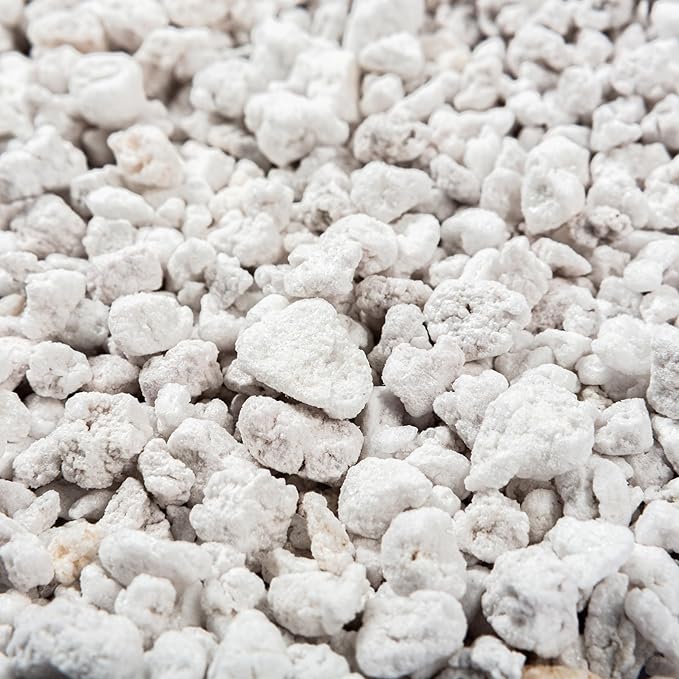 Perlite Bliss (24 Qts) - Organic Perlite for Plants - Coarse Perlite Bulk Soil Amendment - Chunky Perlite for Plants, Potting Soil, Garden Soil, & Coco Coir - Horticultural Perlite for Gardening