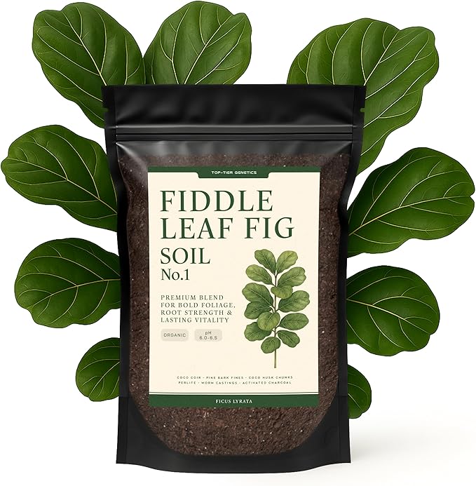 Premium Fiddle Leaf FIG Soil Mix – Nutrient-Rich, Organic Potting Soil for Ficus Lyrata – Promotes Healthy Roots, Lush Leaves & Balanced Moisture – Fast-Draining & Ready to Use (4 QTS)