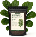 Premium Fiddle Leaf FIG Soil Mix – Nutrient-Rich, Organic Potting Soil for Ficus Lyrata – Promotes Healthy Roots, Lush Leaves & Balanced Moisture – Fast-Draining & Ready to Use (4 QTS)