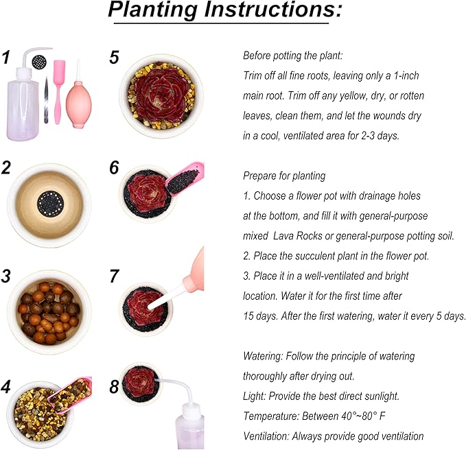 Lithops Random Mix Rare Live Succulent Plants, 30/50/100 Pcs Succulent Live Plant, Bare Root Without Pot Soil, Garden Indoor Office, Friend Plant Lovers Gifts (Normal 100pcs)