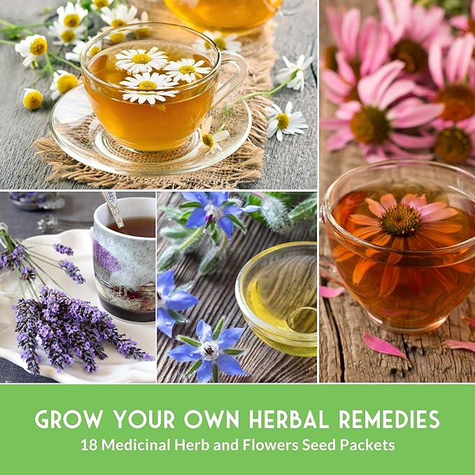 Medicinal Herb Seeds for Planting | 18 Seed Variety Pack of Heirloom, Non-GMO Herbs – Herbal Teas, Tinctures & Home Apothecary Garden Kit – Survival Garden Seeds