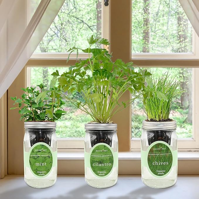 Hydroponic Herb Growing Kit Set, Self-Watering Mason Jar Herb Garden Starter Kit Indoor, Grow Your Own Herbs from Seeds (Cilantro, Mint & Chives)