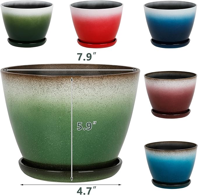 Worth Garden Plastic Round 8" Plant Pots - Set of 6 Multicolor Small Gloss Flower Pot Planters with Drainage Hole and Saucer - Home Decorative Christmas Containers