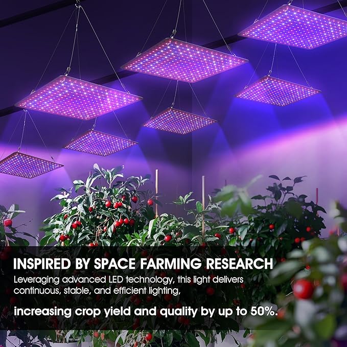 2 Pack LED Grow Light Panel 200W Lamp for Indoor Plants, Full Spectrum with White Blue Red UV IR LEDs for 4x4ft Coverage Grow Tent Greenhouse Veg and Bloom Seedlings Hydroponics