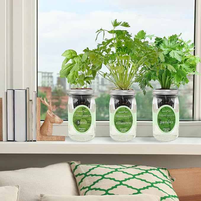 Hydroponic Herb Growing Kit Set, Self-Watering Mason Jar Herb Garden Starter Kit Indoor, Windowsill Herbs Garden, Grow Your Own Herbs from Organic Seeds (Basil, Cilantro and Parsley)
