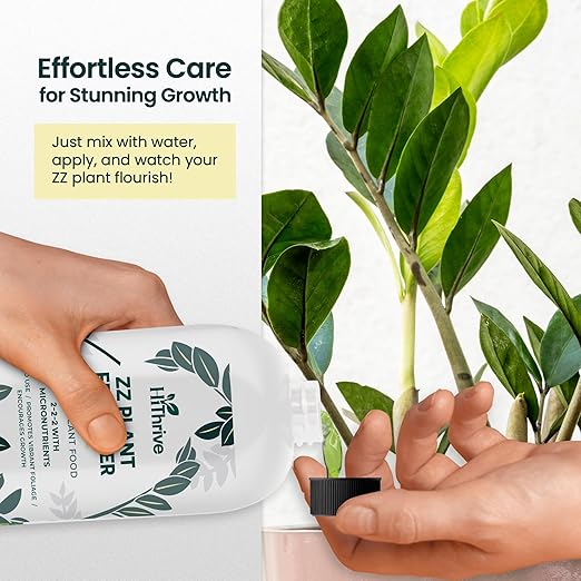 16oz ZZ Plant Fertilizer - Makes 32 Gallons of Liquid Fertilizer for Indoor Plants, Outdoor & Houseplant Food for ZZ Plant Live - Nutrient-Rich Formula for Glossy Leaves & Strong Roots