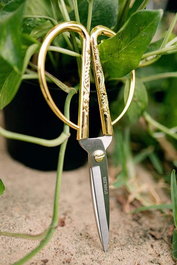 Premium Houseplant Scissors | 100% Stainless Steel, Ultra-Precise Garden Clippers for Propagation & Trimming | Rust-Resistant, Easy Clean Pruning Shears | Indoor & Outdoor | Comfortable & Ambidextrous