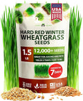 HOME GROWN 12,000+ Wheatgrass Seeds Bulk Pack(1.5 lb) Hard Red Winter Wheatgrass – Heirloom, Sprouting for Juicing, Microgreens, Smoothies & Indoor Gardening(Triticum aestivum)