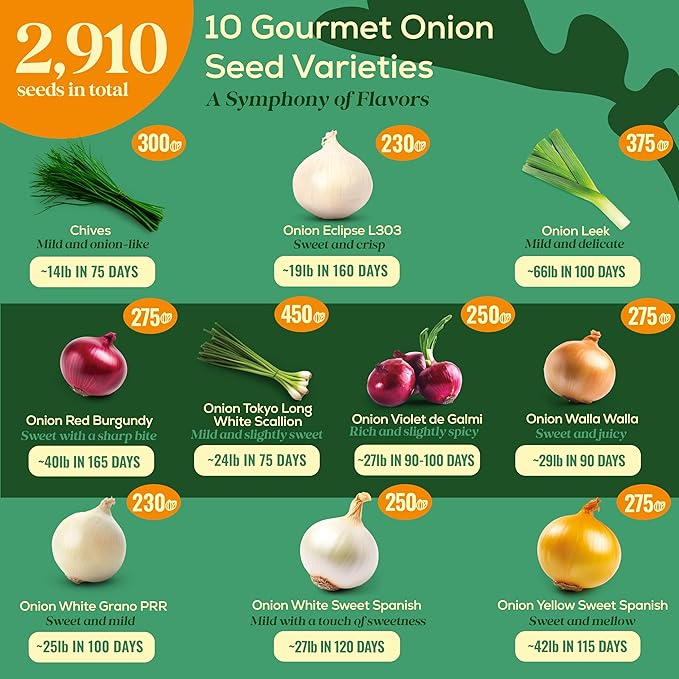 10 Gourmet Onion Seeds for Planting Variety Pack - 2,900+ Non-GMO Heirloom Vegetable Seeds for Growing Indoor & Outdoor: Red Burgundy, Leek, Walla Walla, Grano White & Yellow Sweet Spanish