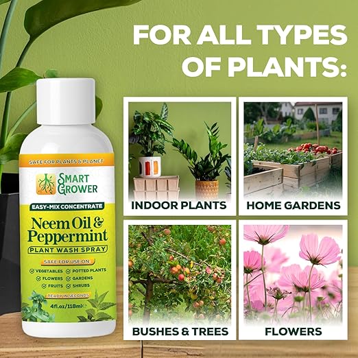 Neem Oil Spray for Plants with Peppermint Oil – for Indoor & Outdoor Plants, Gardens, & Houseplants– Best Value Refill 4 oz Concentrate Makes 1/2 Gallon RTU