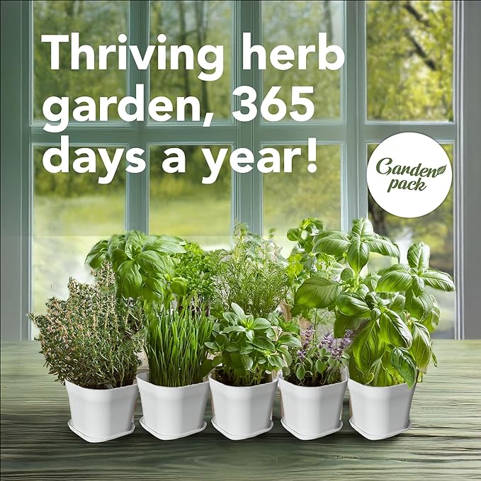 Garden Pack 10 Herb Indoor Window Herb Garden - Includes Pots, Trays, and Compressed Soil for Easy Indoor Herb Growing - Perfect Kitchen Herb Garden Starter Kit for Beginners and Gifts