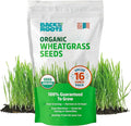 Back to the Roots 100% Organic Wheatgrass Seeds | 1 Pound Non-GMO | Nutrient Dense, Easy to Grow | Cat Grass Planter Seeds