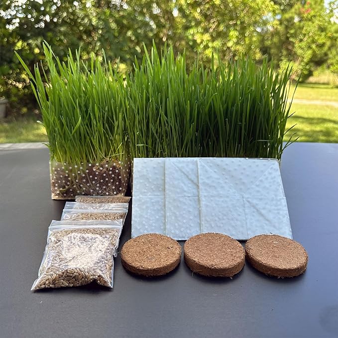 Organic Cat Grass Kit 3 Pack - Polkadot Grow Bags for Indoor Cats | Non GMO Mixed Heirloom Seeds | Wheatgrass - Oat Grass - Barley Grass Blend