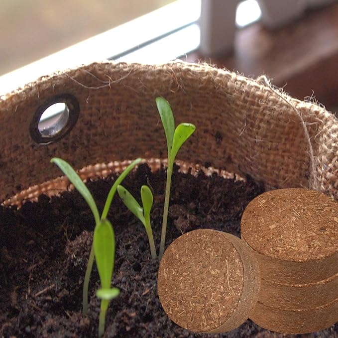 ZeeDix 50pcs(40mm) Coco Coir Pellets Potting Soil Indoor Plants, Compressed Coconut Coir Soil Pellets Seed Starting Pellets Soil Discs for Planting Flowers Bonsai Herbs Plants and Vegetables