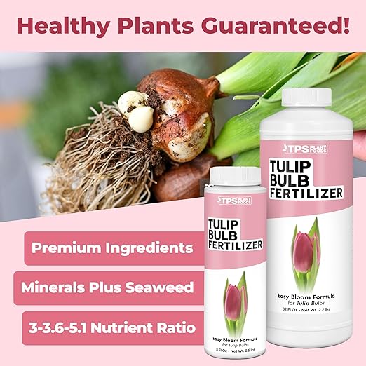 Tulip Bulb Fertilizer, Complete Liquid Tulip Bulb Plant Food, 32 oz (1 Quart)