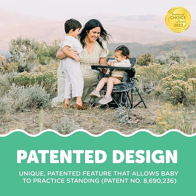 Baby Delight Go with Me Venture Portable Chair | Indoor and Outdoor | Sun Canopy | 3 Child Growth Stages | Grey