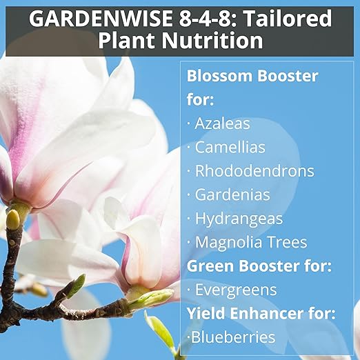 8-4-8 Acidic Fertilizer for Azaleas, Camellias (Camelia), Hydrangeas, Blueberries, Gardenias, Magnolia Trees, Evergreens, and Rhododendrons - Ideal Iron-Rich Plant Food (1/2 Quart)