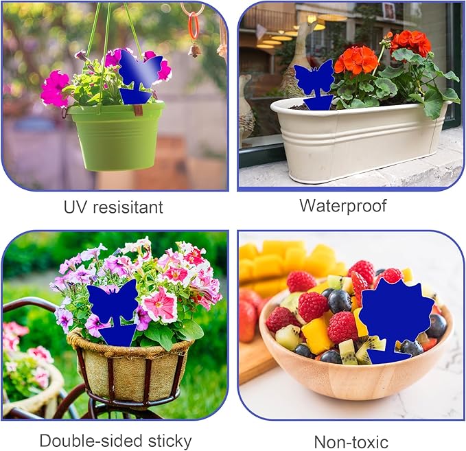 Fruit Fly Traps, 60 Pack Blue Sticky Traps, Fungus Gnat Traps, Plant Fly Stickers for Indoor and Outdoor Use Protect The Plant