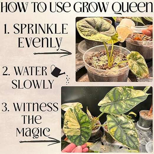 The All-in-One Complete Organic Plant Food, Indoor Plant Food for Houseplants, Organic Fertilizer for Vegetable Gardens, 3lb =75 Formulated Servings Feeds 150 gal Instantly and Slow Release