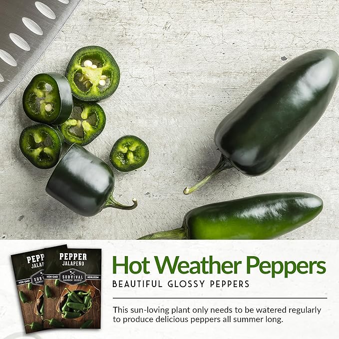 Jalapeño Pepper Seeds for Planting | Hot Heirloom Non-GMO Peppers for Pickling & Salsas – Survival Garden Seeds (1 Pack)
