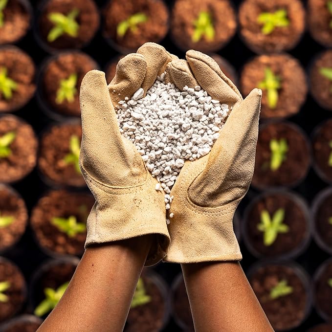 Perlite Bliss (16 Qts) - Organic Perlite for Plants - Coarse Perlite Bulk Soil Amendment - Chunky Perlite for Plants, Potting Soil, Garden Soil, & Coco Coir - Horticultural Perlite for Gardening