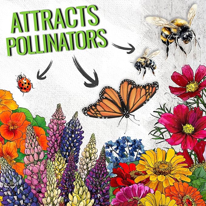 Seed Needs Wildflower Seeds Hummingbird and Butterfly Seed Mix | 10 Packs (1 Ounce Each) No Filler 23 Varieties Garden Seeds Annual & Perennial Species | Pollinator Attracting Flower Seed | Bulk
