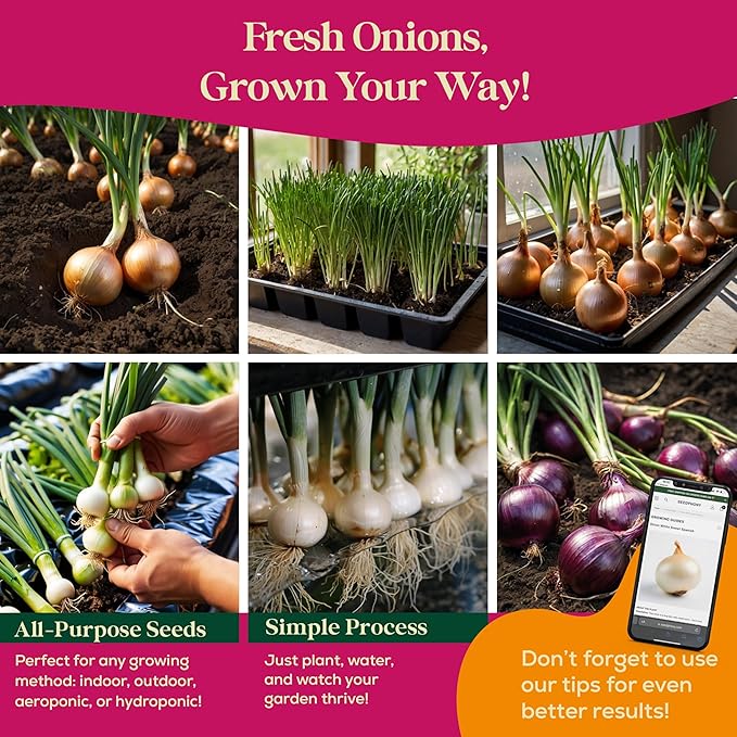 10 Gourmet Onion Seeds for Planting Variety Pack - 2,900+ Non-GMO Heirloom Vegetable Seeds for Growing Indoor & Outdoor: Red Burgundy, Leek, Walla Walla, Grano White & Yellow Sweet Spanish