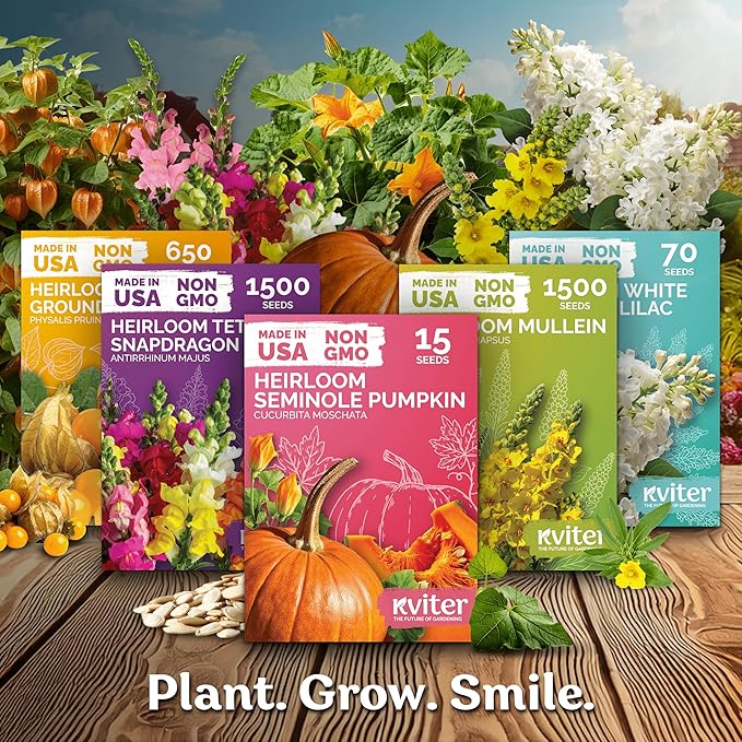 KVITER 75 California Black Eyed Peas Seeds for Planting (Vigna Unguiculata L.) — Cowpeas, Heirloom, Non GMO & Organic Peas, Field Peas, Heavy Yield — Vegetable Seeds for Outdoor Garden, Containers