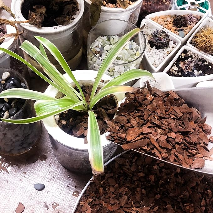 29qt Organic Orchid Potting Bark -Natural Orchid Mulch for Potted Plants, Root Development of Orchid Plants and Garden Soil Amendment Mix…