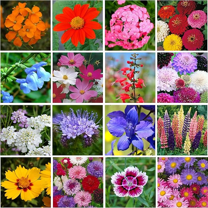 Bulk Wildflower Seed - Bird & Butterfly Garden Seed Mix | Bulk 300,000+ Annual & Perennial Flower Seeds for Planting - Attracts Hummingbirds & Butterfly | No Messy Bags or Packets | Bulk 1 Pound Jar