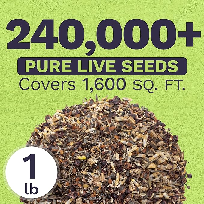 Deer Resistant Wildflower Seed Mixture - Bulk 1 Pound Bag - Over 240,000 Deer Tolerant Seeds - Open Pollinated and Non GMO