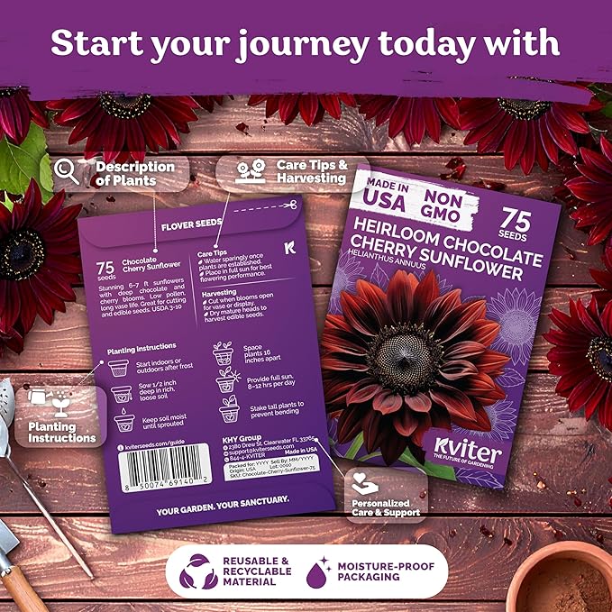 KVITER 75 Chocolate Cherry Sunflower Seeds to Plant (Helianthus annuus) – Heirloom Seed Non GMO Organic Sunflowers Variety, Long Vase-Life Blooms – Flower Seeds for Planting in Home Garden
