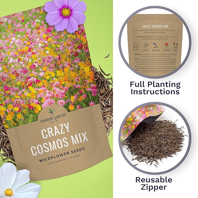 Bulk Cosmos Seeds Wildflower Mixture - 1 Pound Bag - Over 80,000 Seeds - Pink, Yellow, Orange, Red, Purple and White Mixed Species!